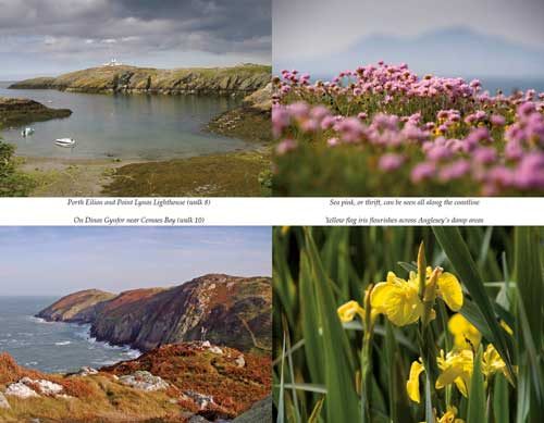 Best Anglesey walks